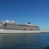 viking sea  viking sky 7
